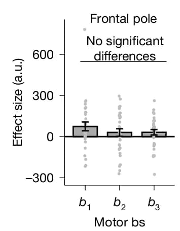 Open access visualization of Bar Plot, Error Bars, Scatter Plot, Basis Function Effects, One-Way ANOVA