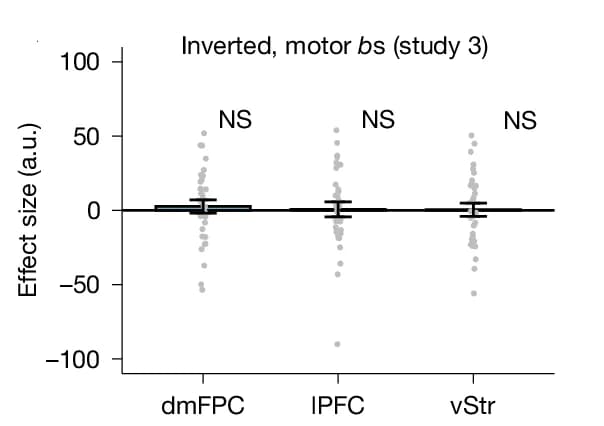 Open access visualization of Scatter Plot, Error Bars, ROI Analyses, Motor Study, Basis Function Signals