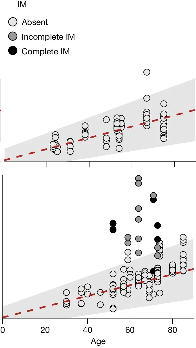 Open access visualization of Scatter Plot, Regression Plot, SNVs, Age, Gastric Glands