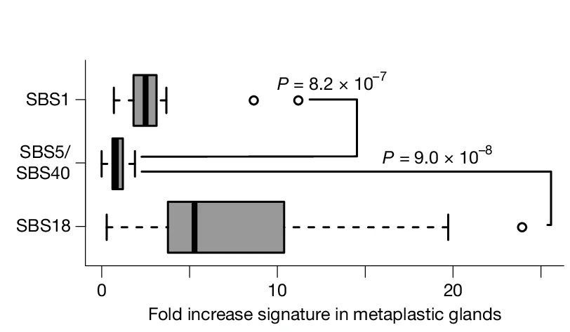 Open access visualization of Box Plot, SBS1, SBS5/40, SBS18, Microdissections