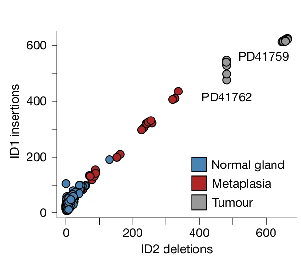 Open access visualization of Scatter Plot, ID1 Insertions, ID2 Deletions, Polymerase Slippage