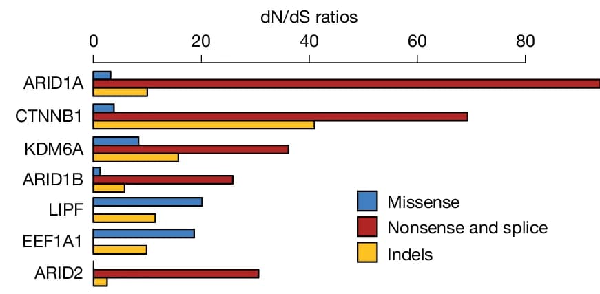 Open access visualization of Bar Plot, Clustered, dN/dS Ratios, Genes, Positive Selection
