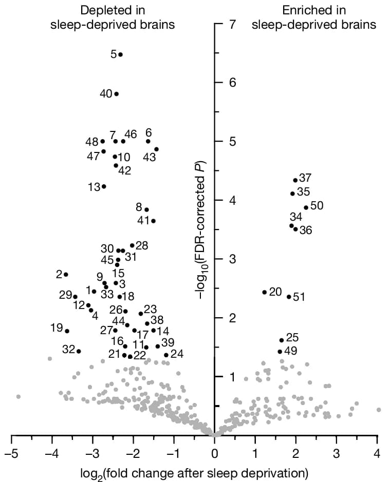 Open access visualization of Volcano Plot, Scatter Plot, Glycerophospholipids, Lipids
