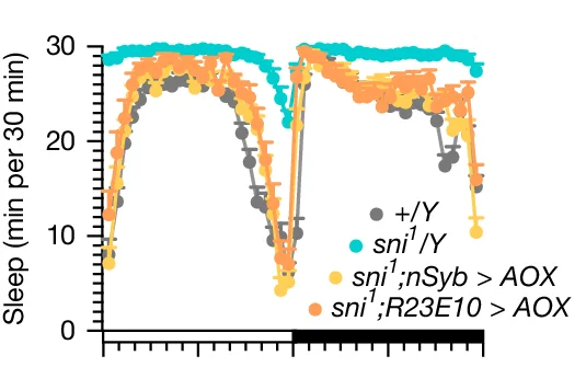 Open access visualization of Line Plot, Error Bars, AOX, sni 1 Mutant Males, Sleep