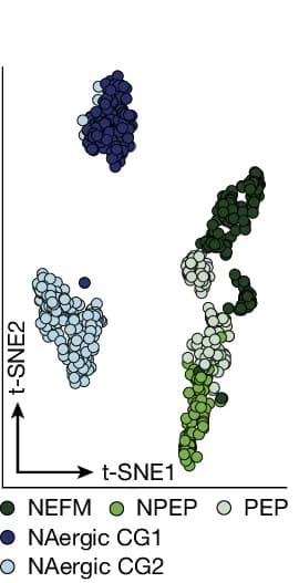Open access visualization of Scatter Plot, UMAP, t-SNE Plot, Trace-n-Seq, Pancreas CG Neurons