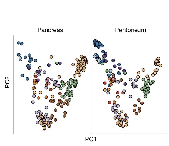 Open access visualization of Scatter Plot, PCA, t-SNE Plot, Pancreas DRG Neurons, Peritoneum DRG Neurons