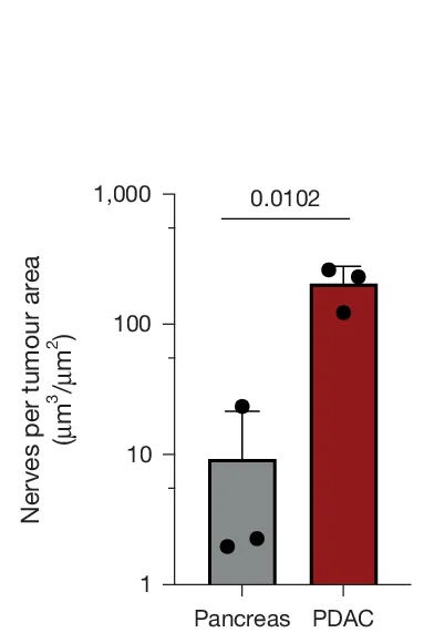Open access visualization of Bar Plot, Error Bars, Scatter Plot, Neuronal Sprouting, PCP