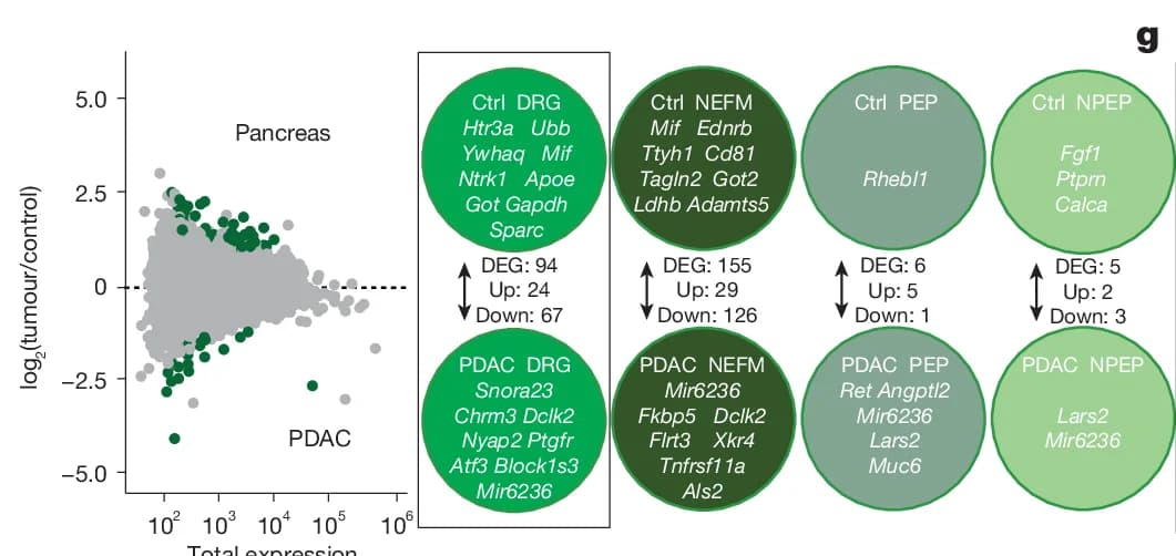 Open access visualization of Scatter Plot, Venn Diagram, Volcano Plots, DEGs, Pancreas