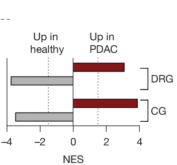 Open access visualization of Bar Plot, Enrichment Analysis, PCN-up Signature, PCN-down Signature, DEGs