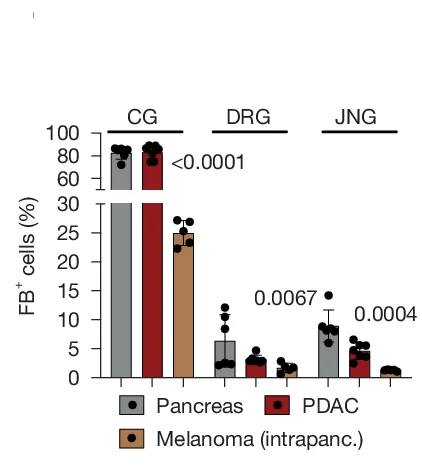Open access visualization of Bar Plot, Error Bars, Clustered, Scatter Plot, FB+ Cells