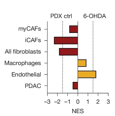 Open access visualization of Bar Plot, GSEA, G2M Checkpoint, Control Tumours, Denervated Tumours