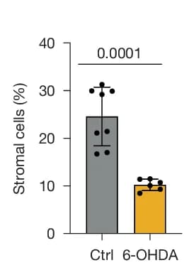 Open access visualization of Bar Plot, Error Bars, Stromal Cells, Control PDX Tumours, Denervated PDX Tumours