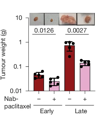 Open access visualization of Bar Plot, Error Bars, Representative Images, Tumor Weight, Nab-paclitaxel