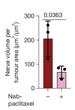 Open access visualization of Bar Plot, Error Bars, Nerve Volume, Tumor Area, PDAC Control