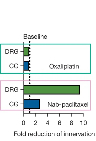 Open access visualization of Bar Plot, FB+ Cells, CG, DRG, Retrograde Tracing