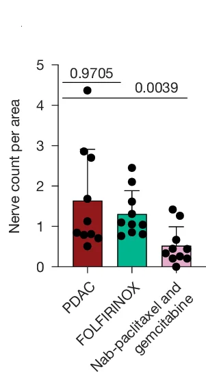 Open access visualization of Bar Plot, Error Bars, Scatter Plot, Nerves, Tissue Area