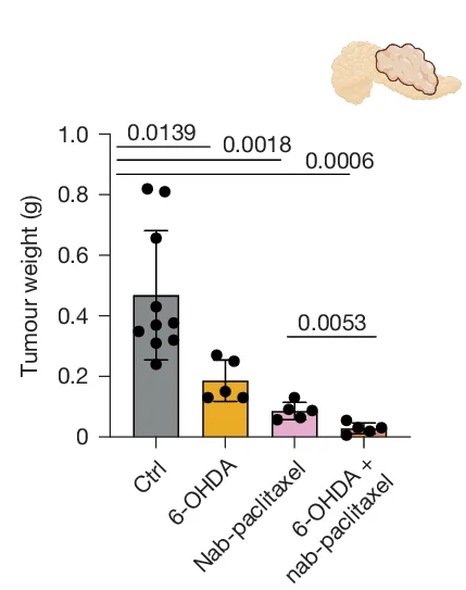 Open access visualization of Bar Plot, Error Bars, Tumor Weight, Orthotopic PDX Mice, Control