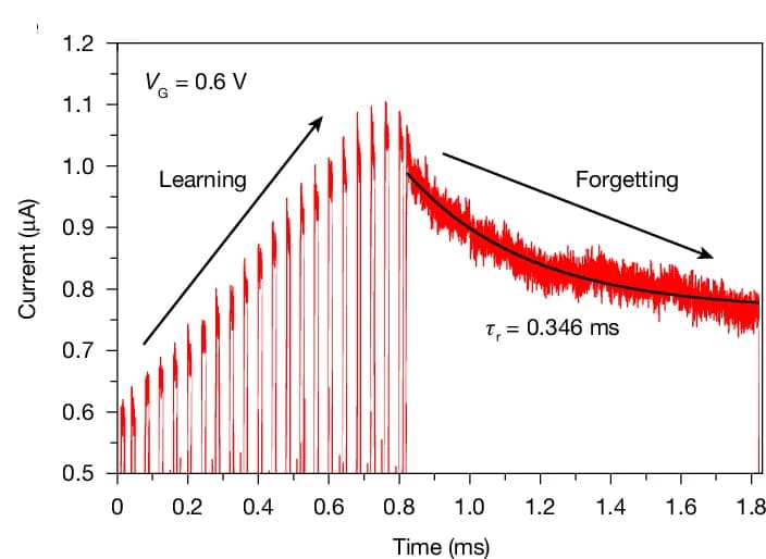 Open access visualization of Line Plot, Synaptic Relaxation, Forgetting Process, Potentiation, Learning