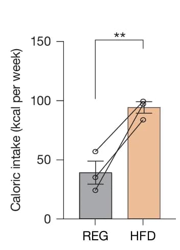 Open access visualization of Bar Plot, Error Bars, Scatter Plot, Line Plot, Caloric Intake