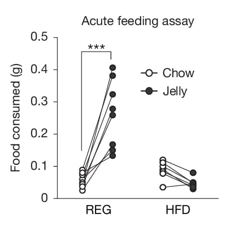 Open access visualization of Line Plot, Scatter Plot, Food Consumption, REG Mice, HFD Mice