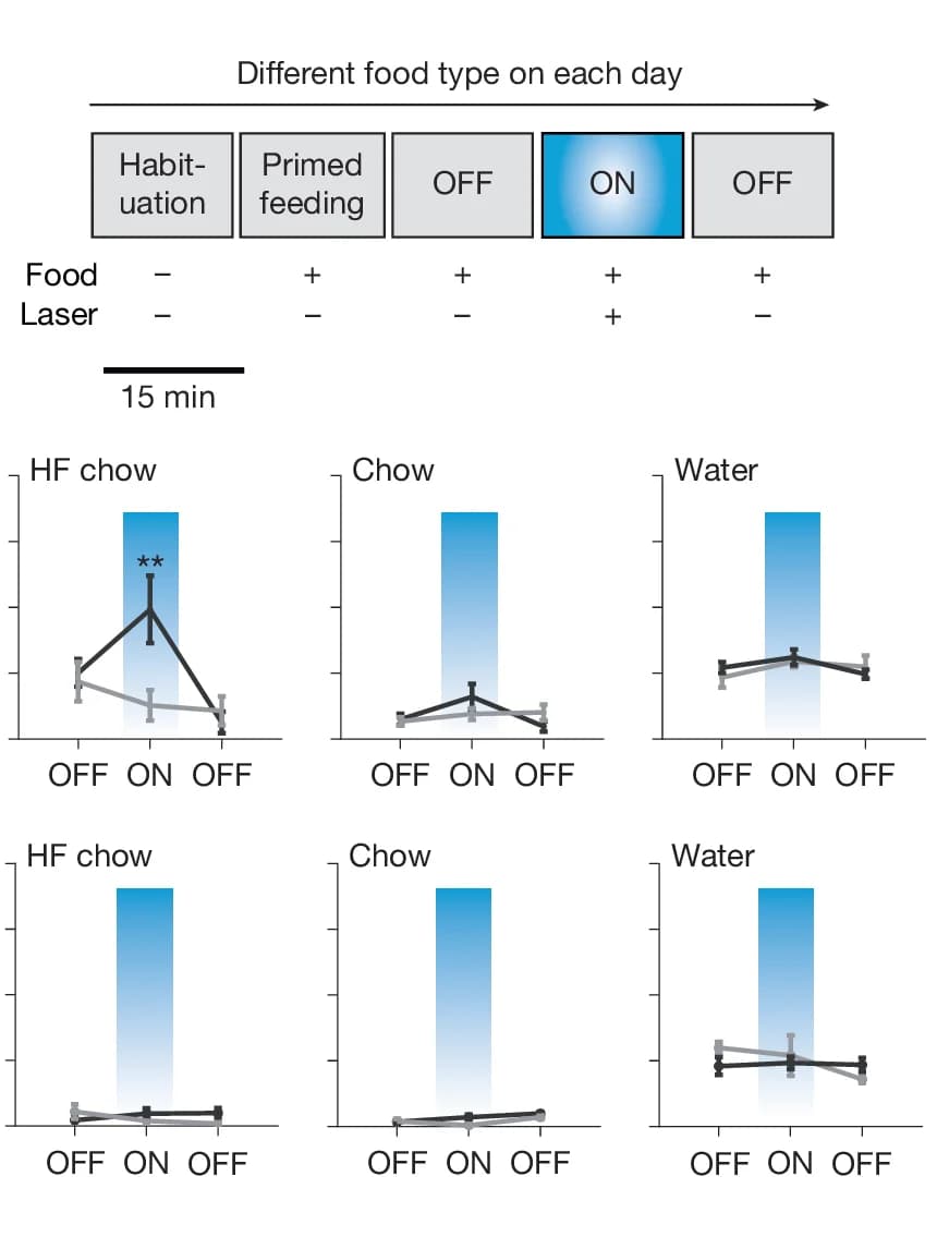 Open access visualization of Line Plot, Error Bars, Bar Plot, Timeline, Mice