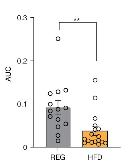 Open access visualization of Bar Plot, Error Bars, Scatter Plot, ntsLight1.1 Experiment, Optogenetic Stimulation