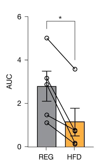Open access visualization of Bar Plot, Error Bars, Area Under the Curve, REG Mice, HFD Mice
