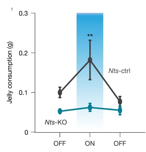 Open access visualization of Line Plot, Error Bars, NAcLatVTA Opto-stimulation, Jelly Consumption, Nts-ctrl Mice
