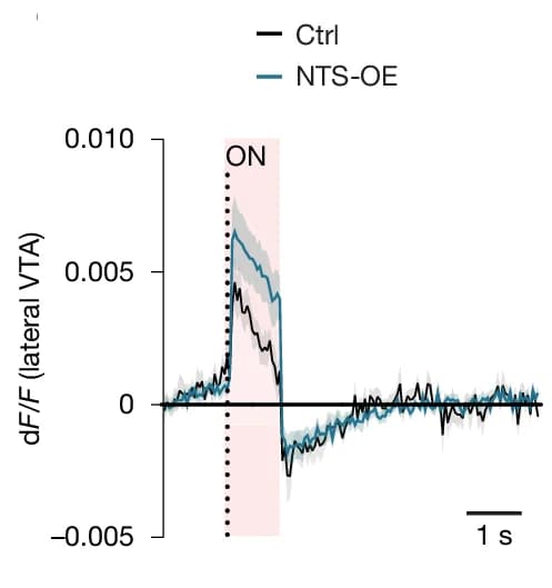 Open access visualization of Line Plot, Error Bars, ntsLight1.1 Activity, Opto-stimulation, NAcLat Inputs