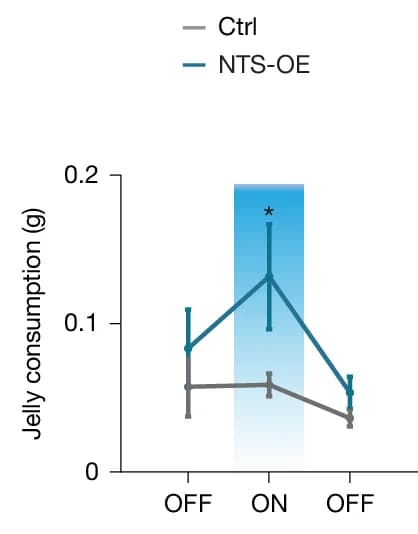 Open access visualization of Line Plot, Error Bars, Jelly Consumption, NTS-OE Mice, mCherry Mice