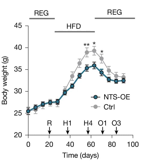 Open access visualization of Line Plot, Error Bars, Body Weight, NTS-OE Mice, mCherry Mice