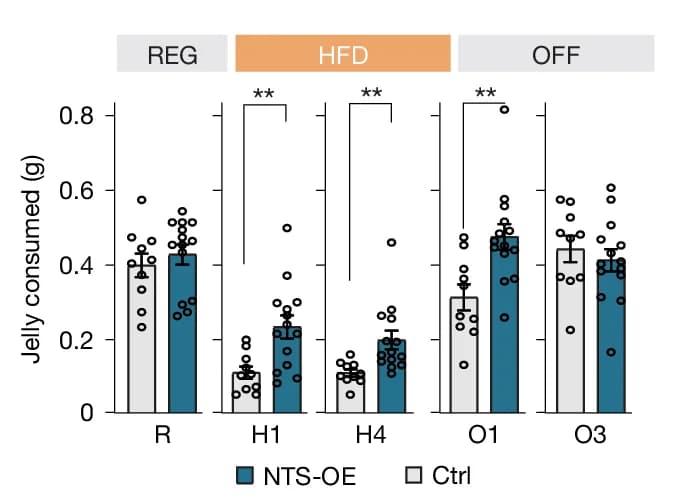 Open access visualization of Bar Plot, Error Bars, Jelly Consumption, Feeding Assays, mCherry Mice
