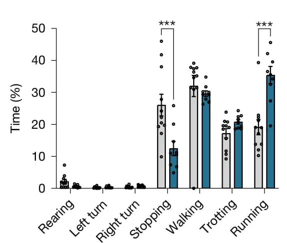 Open access visualization of Bar Plot, Error Bars, Clustered, Scatter Plot, Motifs