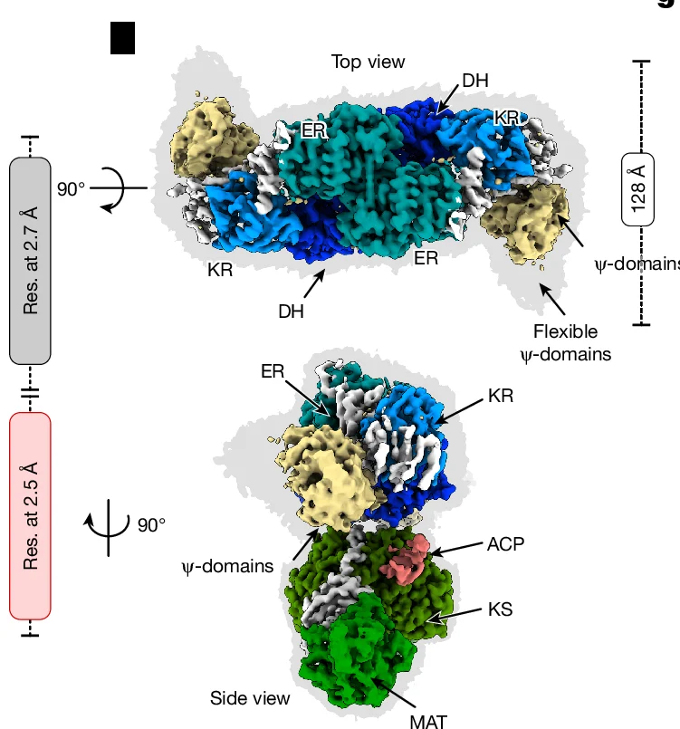 Open access visualization of Protein Structure, Composite Map, Top View, Side View