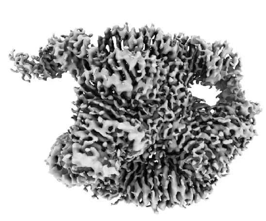 Open access visualization of Protein Structure, Cryo-EM Map