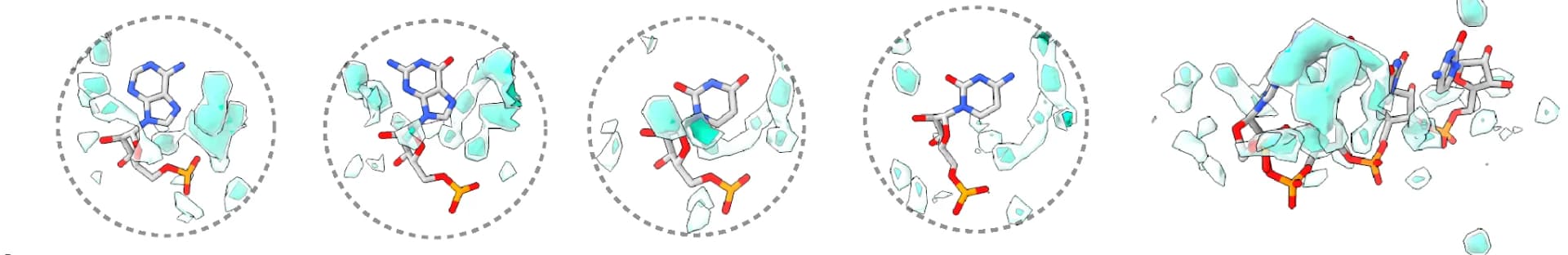 Open access visualization of Chemical Structure, Nucleotides, RNA, Density