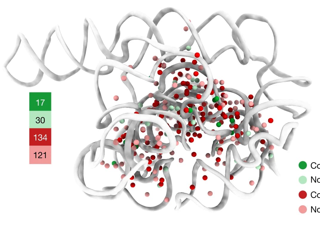 Open access visualization of Protein Structure, Waters, Mg 2+ Ions, 2.2 A Model