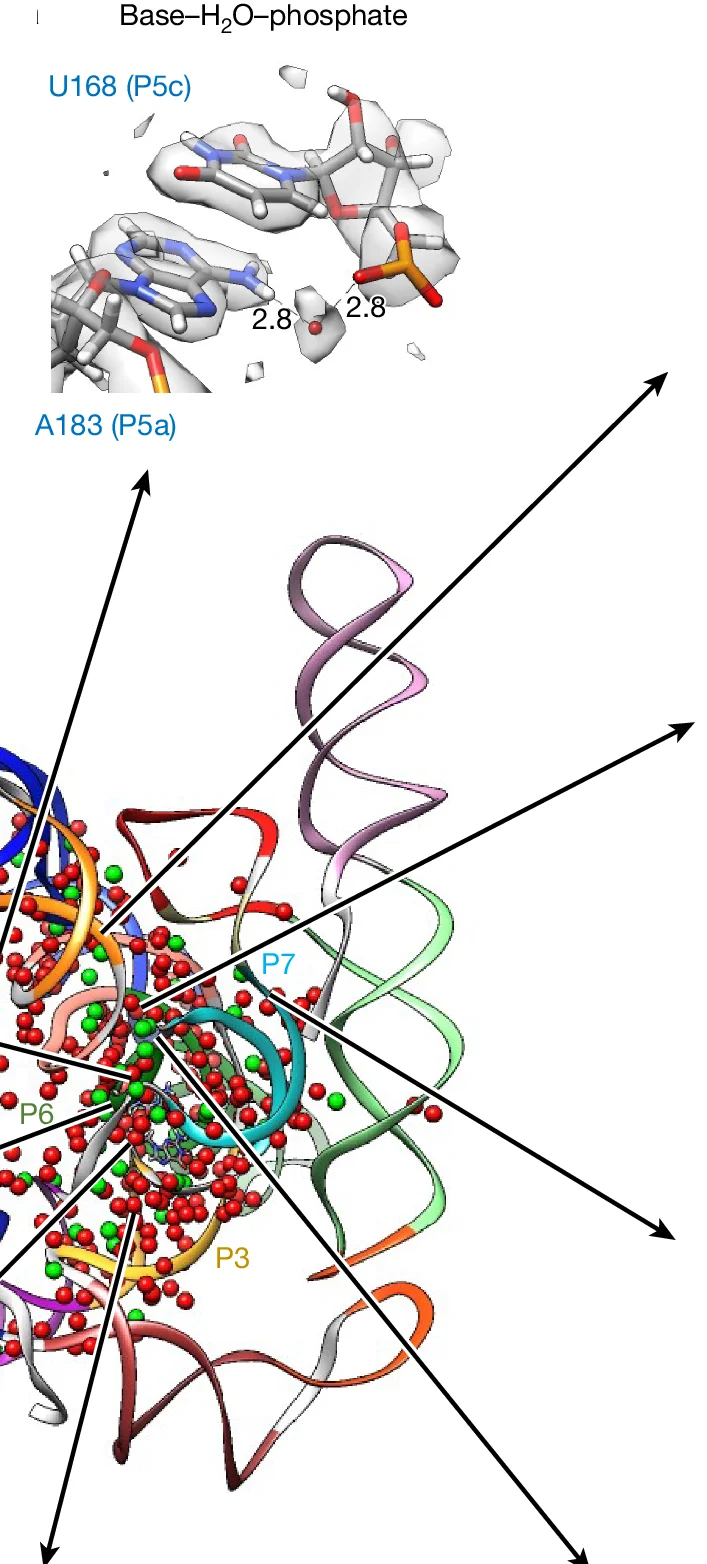 Open access visualization of Protein Structure, Chemical Structure, Water, Magnesium Ions, Nucleotides