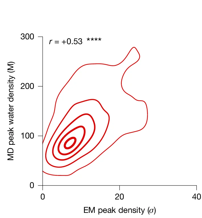 Open access visualization of Density Plot, Molecular Dynamics, Water-binding Sites, Cryo-EM, Peak Density