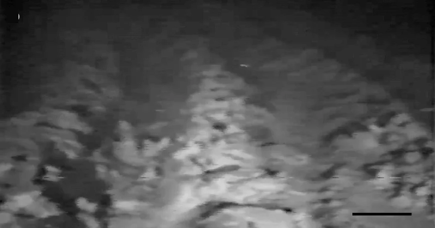 Open access visualization of Microscopy, Video, Seabed Collector