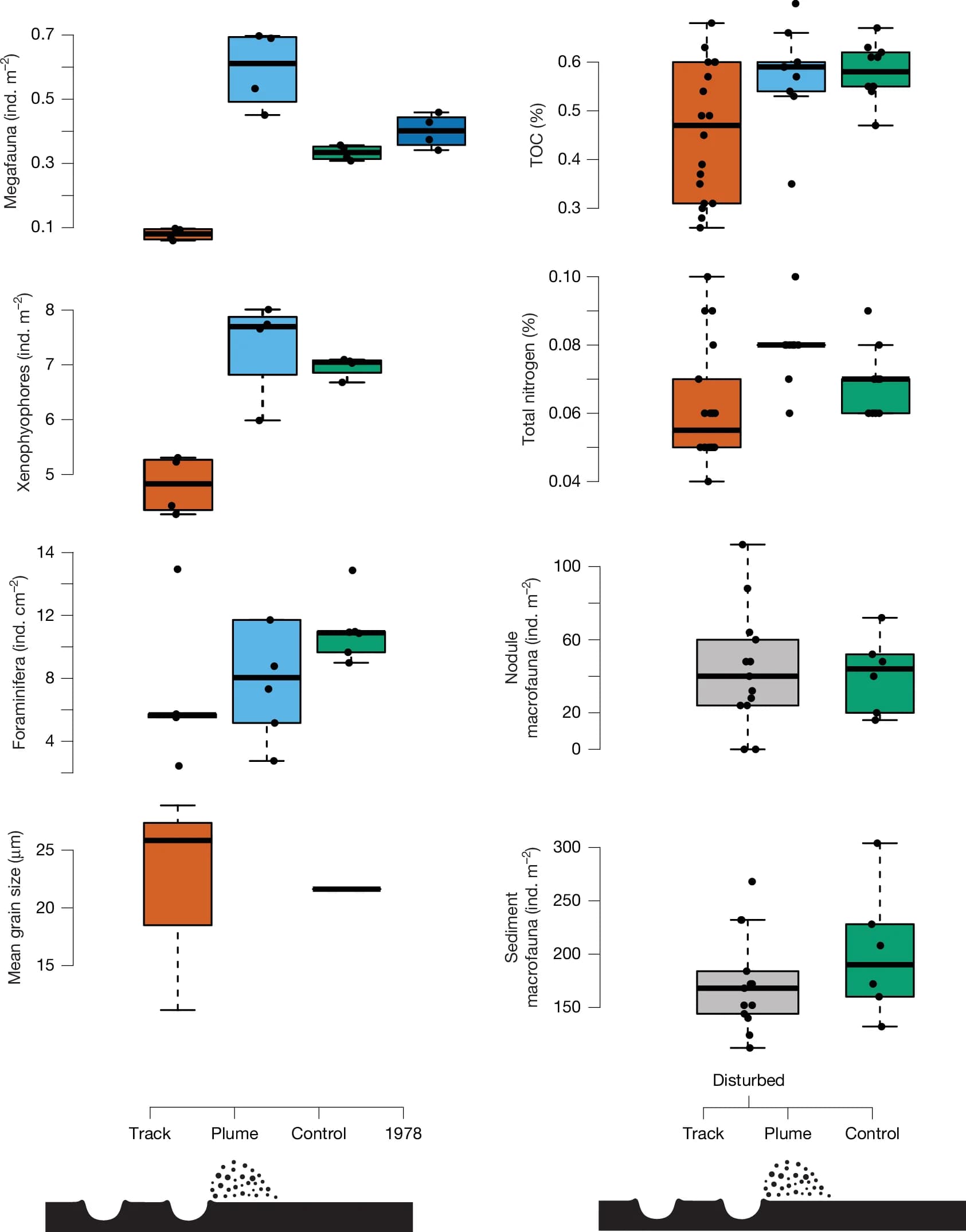 Open access visualization of Box Plot, Scatter Plot, Megafauna, Xenophyophores, Photographic Transects