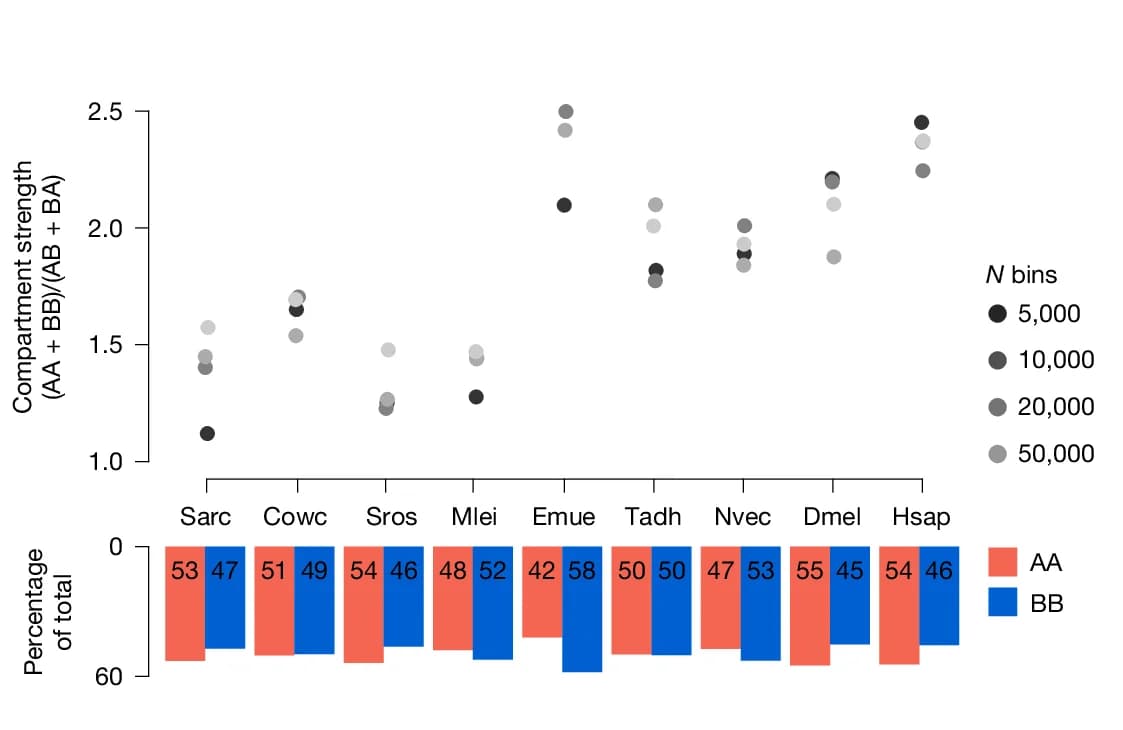 Open access visualization of Scatter Plot, Bar Plot, Compartment Strength, Chromatin Interactions, Active Chromatin