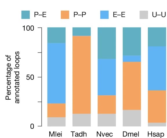 Open access visualization of Stacked Bar Plot, Chromatin Loop Anchors, Promoter Signatures, Enhancer Signatures, H3K4me3