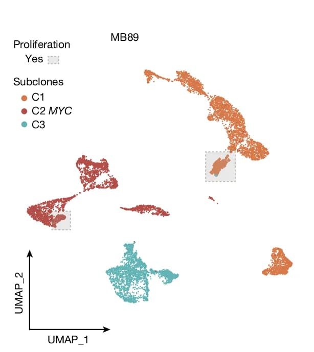 Open access visualization of Scatter Plot, UMAP, snRNA-seq UMAP, MYC Sample, Proliferating Cell Clusters