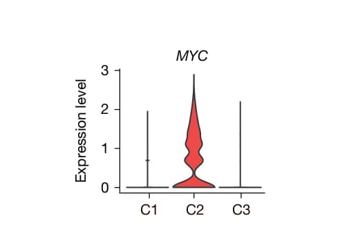 Open access visualization of Violin Plot, MYC Expression, C1 Clone, C2 Clone, C3 Clone