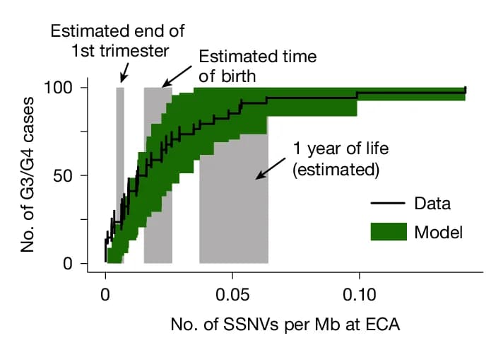Open access visualization of Line Plot, Line Step, Model Fit, SNV Densities, ECA