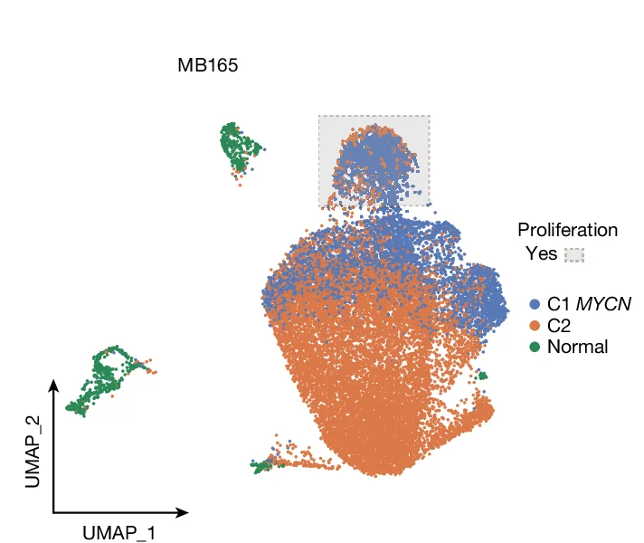 Open access visualization of Scatter Plot, UMAP, Spatial Data, MYCN, Sample