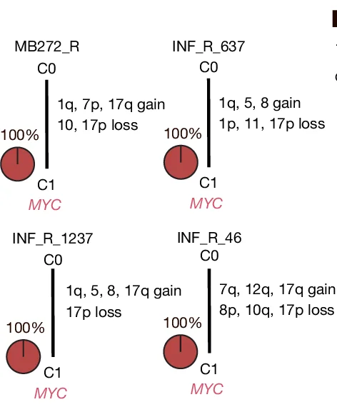Open access visualization of Illustration, Somatic Phylogeny Trees, MYC, Relapse Samples