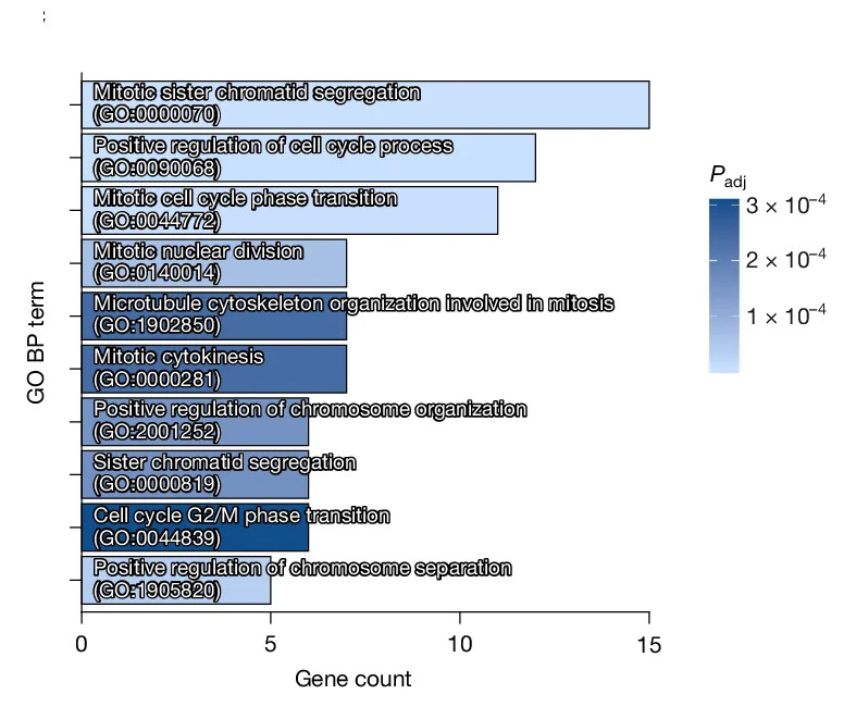 Open access visualization of Bar Plot, GO Analysis, Genes, Biological Process, IR Treatment