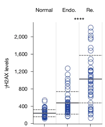 Open access visualization of Scatter Plot, Nuclear Intensity, γH2AX, G2 Cells, Endoreplication